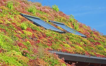 Knights Enham living roof systems